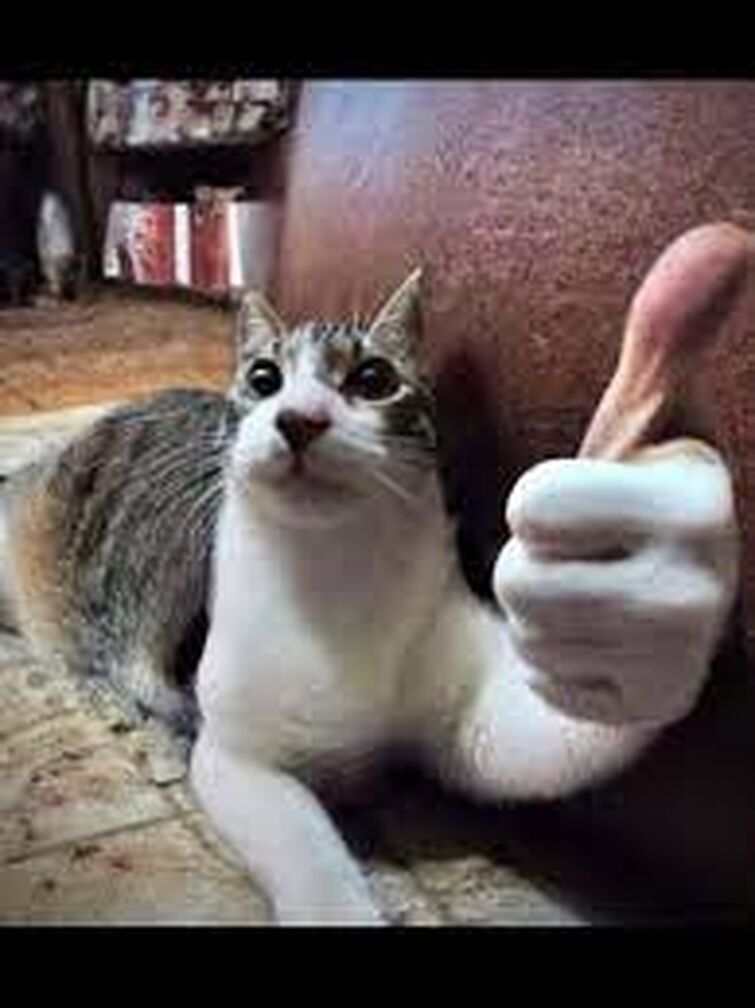 Thumb sales up cat