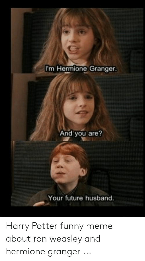 BookBub on X: 16 #Hermione Memes Only True #HarryPotter Fans Will  Appreciate  #potterhead #HermioneGranger   / X