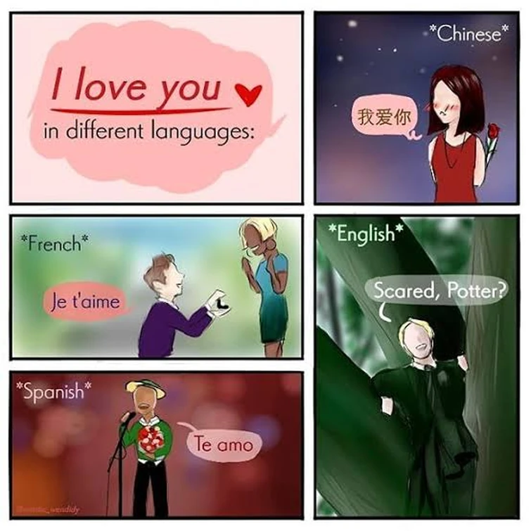 NO HATES WELCOME FANDOM