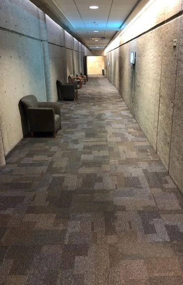 Discuss Everything About Backrooms Wiki | Fandom