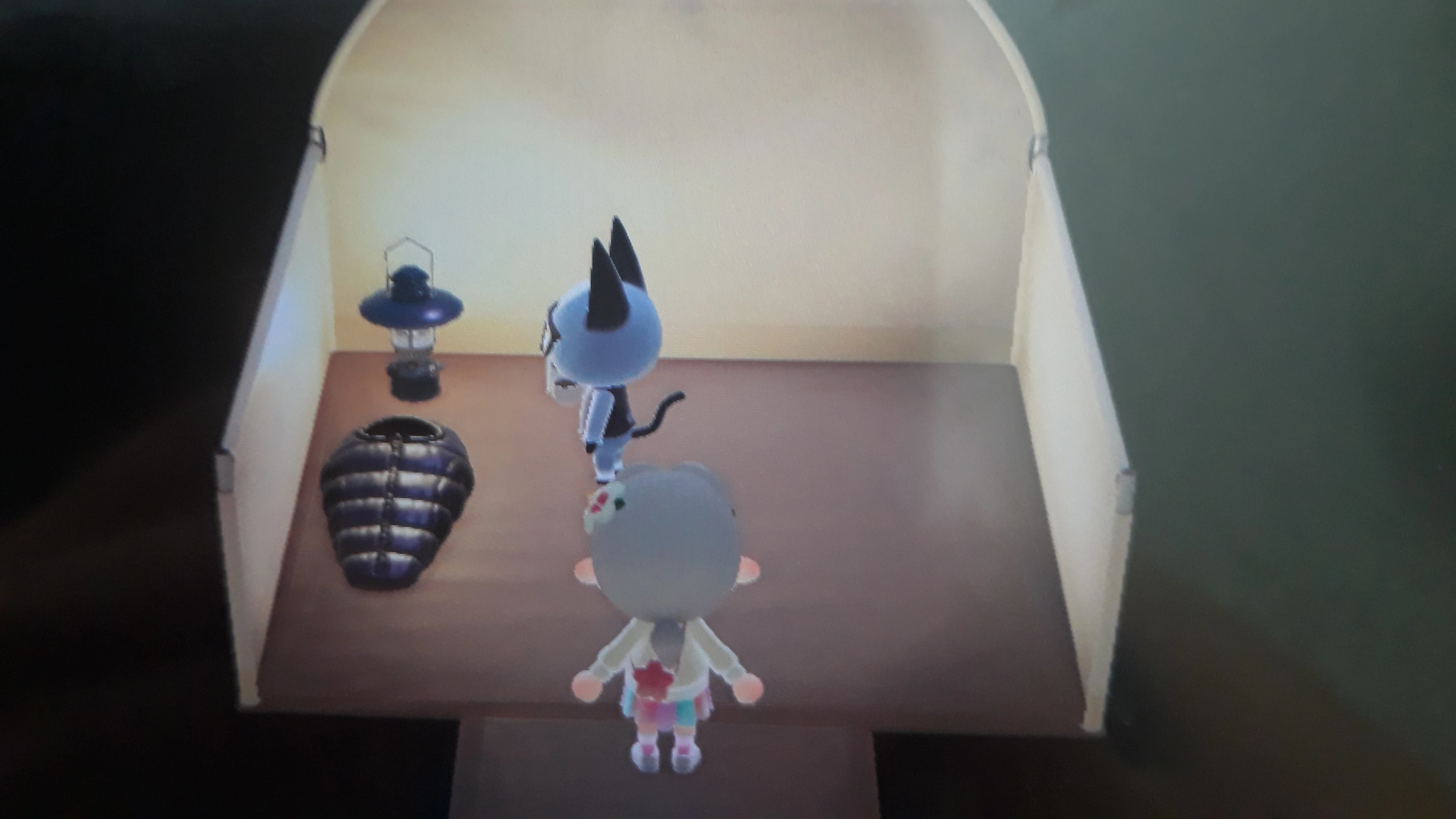 Discuss Everything About Animal Crossing Wiki | Fandom