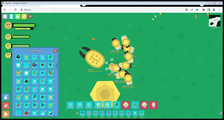 Discuss Everything About Official Florr.io Wiki | Fandom