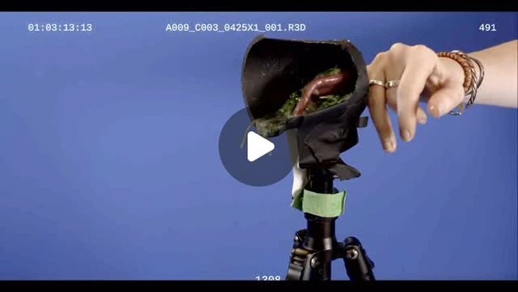 Impossible Pictures / Loud Minds on Instagram: "Surviving Earth BTS - @milkvfx the CGI company behind this project always paid great attention to detail. Worried that if we went in too close to an Ischigualastia chewing the graphics in the sloppy mouth ...