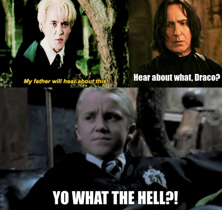 Harry potter memes draco memes killed me XDDDDDD