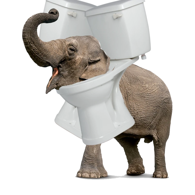 Elephant toilet Fandom