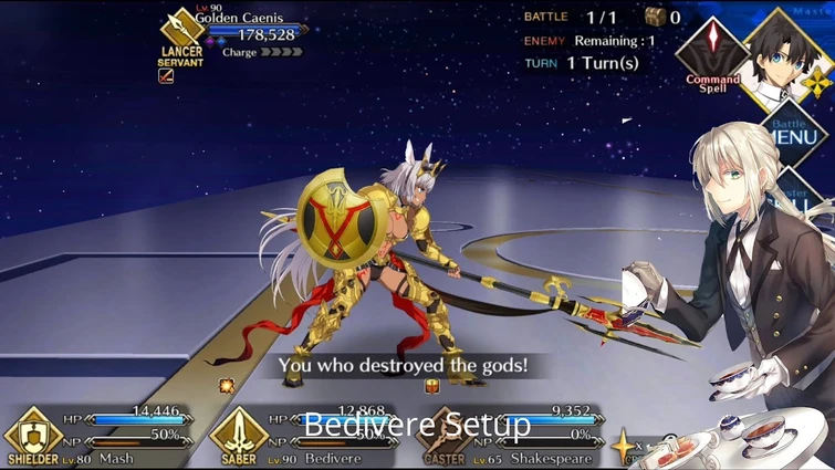 [FGO NA] Olympus Caenis Last Fight - Bedivere Setup