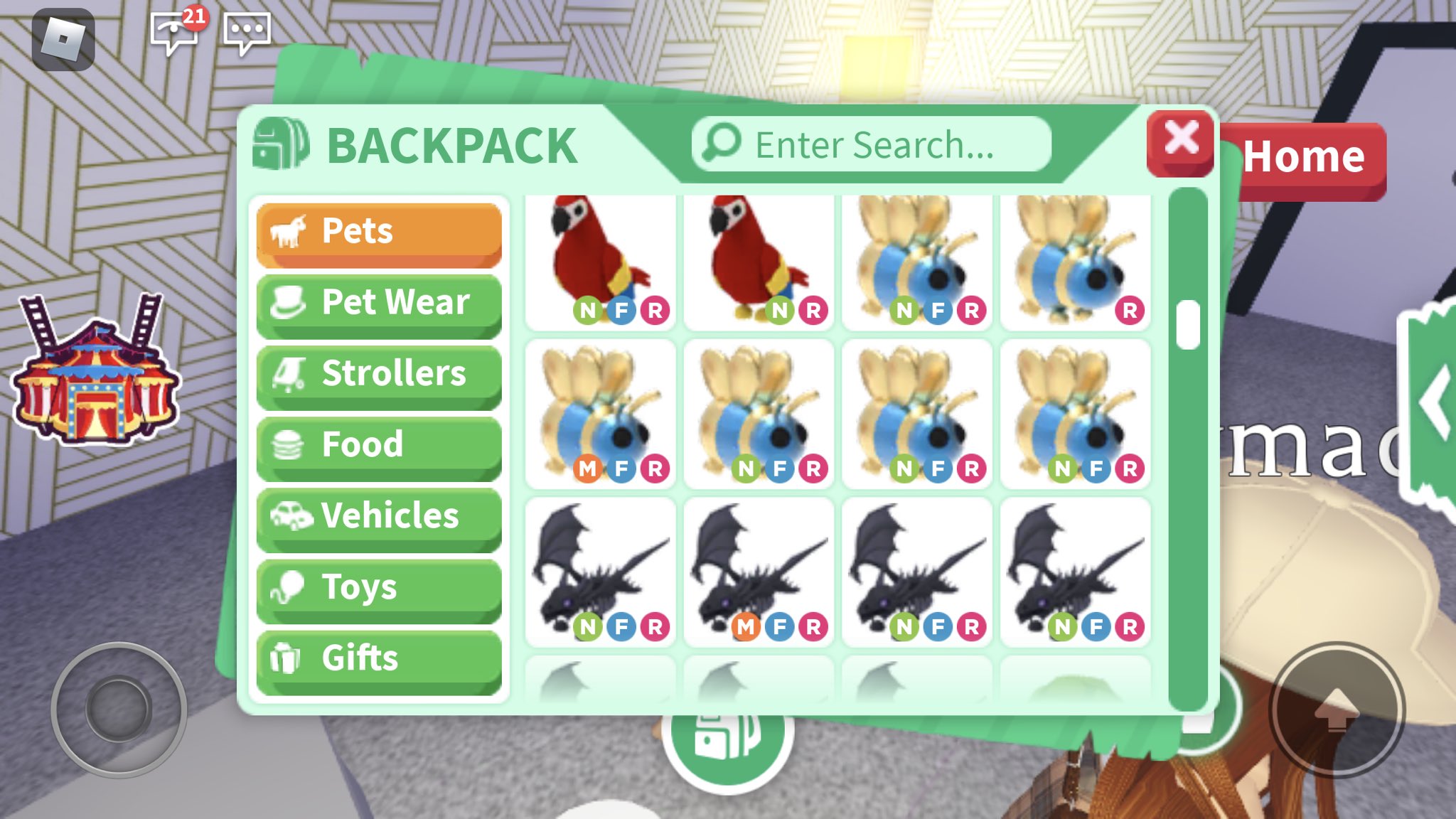 Rich Person's AdoptMe Pets Inventory