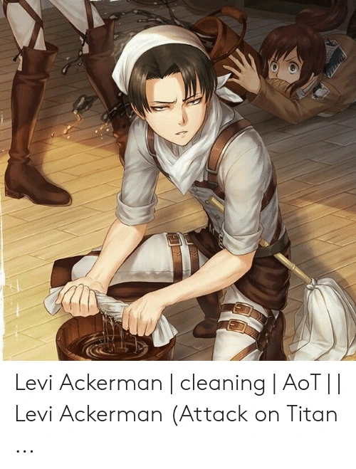 levi bleach