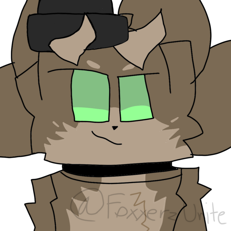 Fandom Image