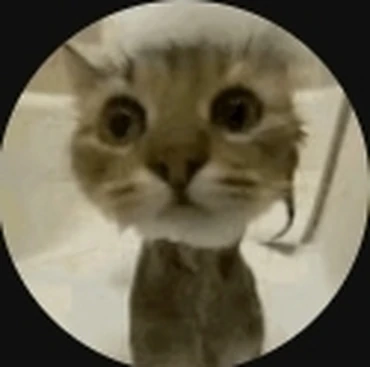 Who is the best Sol's RNG youtuber? | Fandom