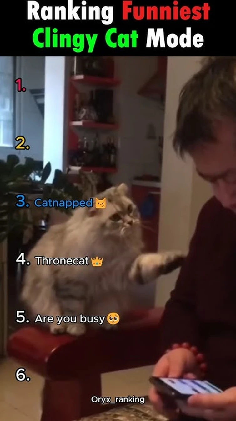 Ranking Funniest Clingy Cat Mode 🤭#memeedit