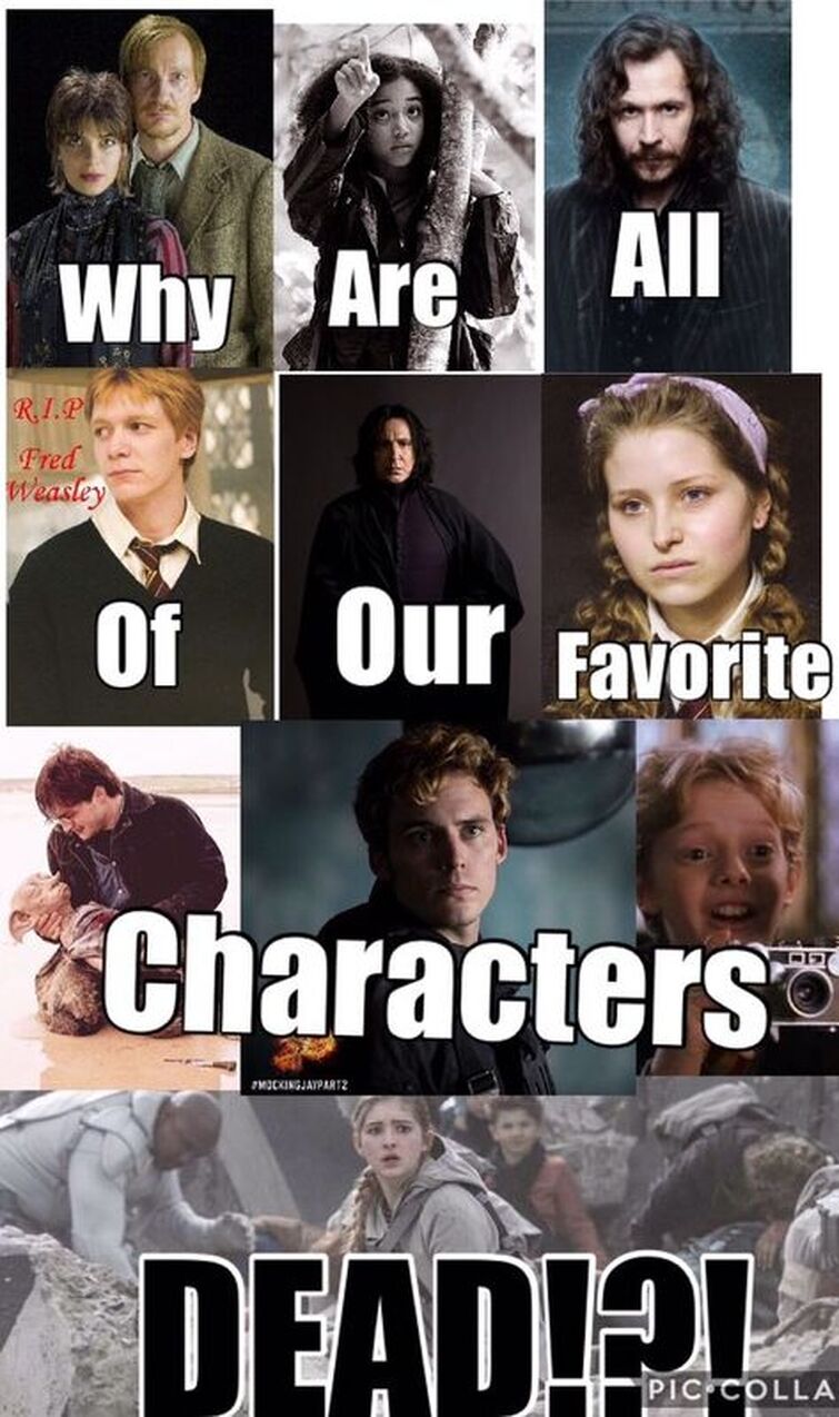 Fandom Image