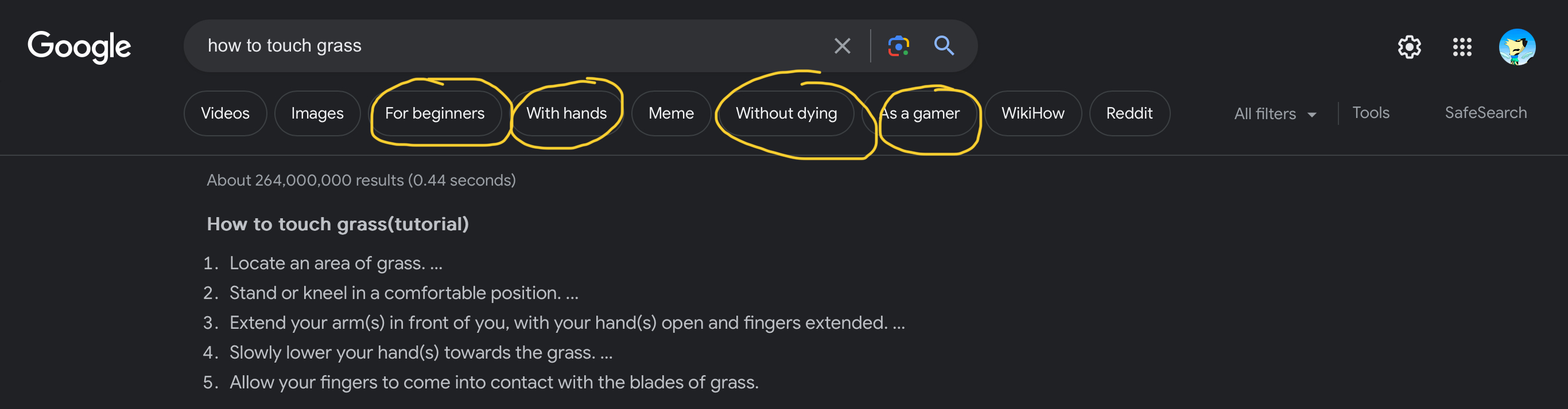 Touching Grass Tutorial 