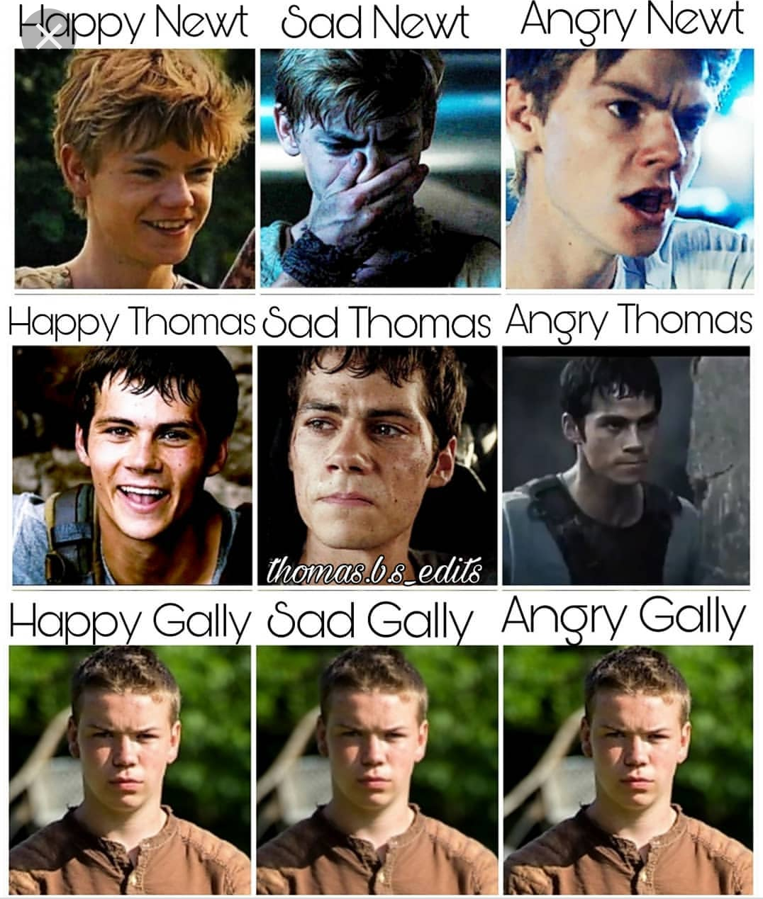 Gally, Wikia The Maze Runner