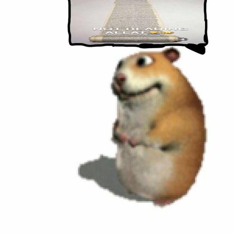 i ain