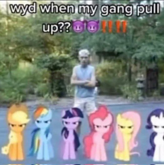 wyd when my gang pull up 💥💥💥💥 | Fandom