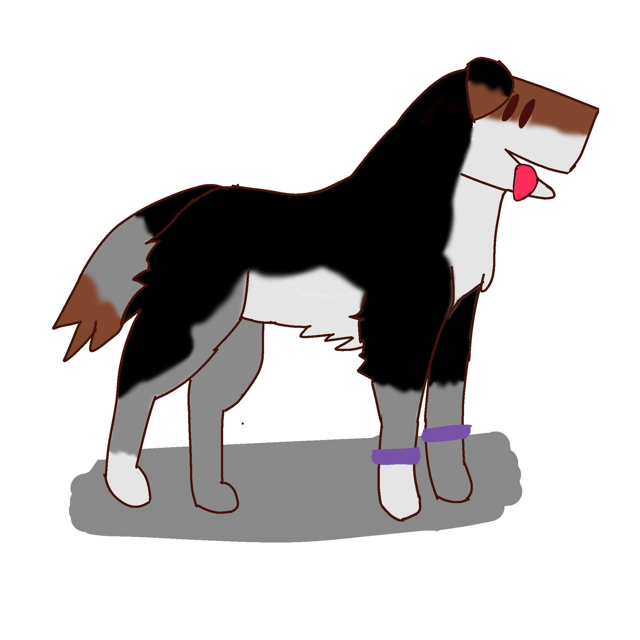 Cake Hound As A Dogs Breeds YOU CAN MAKE A REQUEST FOR A DOG BREED 