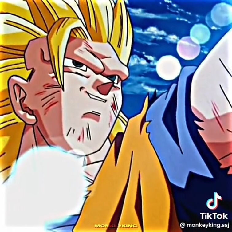 SSJ2 Bra (Dragon Ball Multiverse) Vs SSG Goku(BOG)