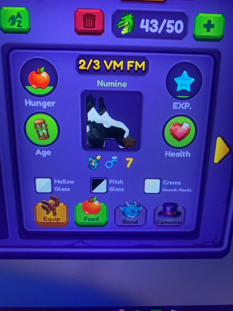 Discuss Everything About Dragon Adventures Wiki | Fandom