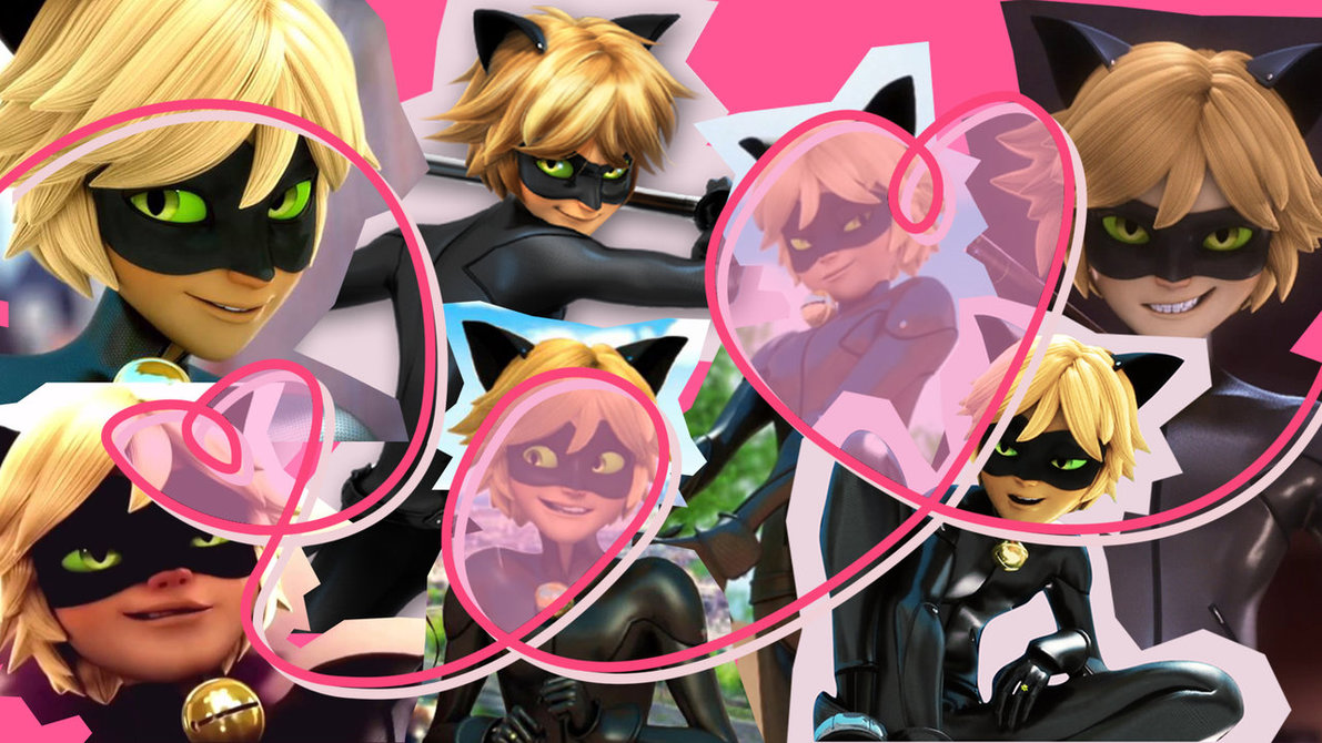 Cat Noir Wallpaper Fandom