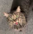 Cloudheart123's avatar