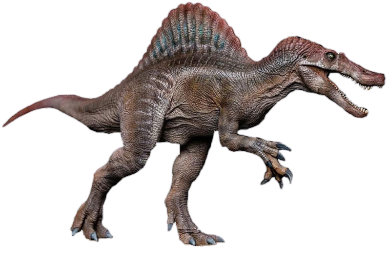 spinosaurus vs ankylosaurus