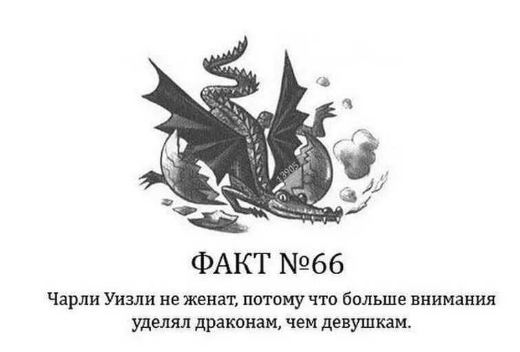 Поттер факты. Факты о Гарри Поттере. Норберт Гарри Поттер. Норберт Гарри Поттер взрослый. Необычные факты о Гарри Поттере.