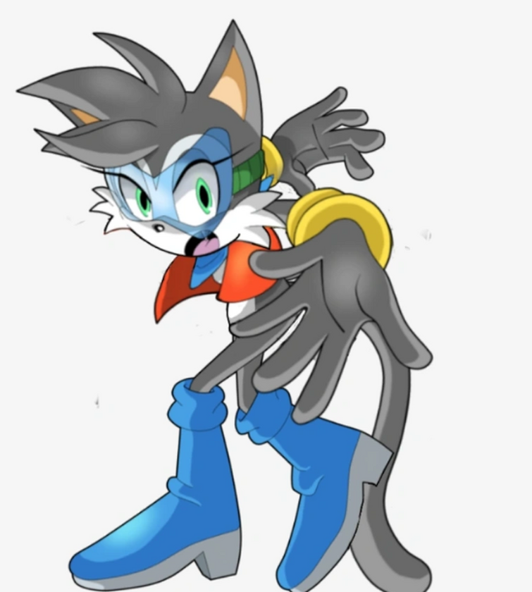 Super Tails Revamp by Jofinin  Pokémon heroes, Sonic dash, Sonic heroes