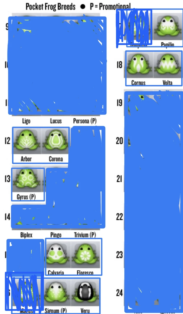 Discuss Everything About Pocket Frogs Wiki Fandom