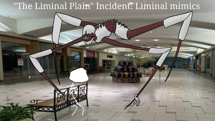 February 286th, 202020: "The Liminal Plain" Incident: Liminal mimic