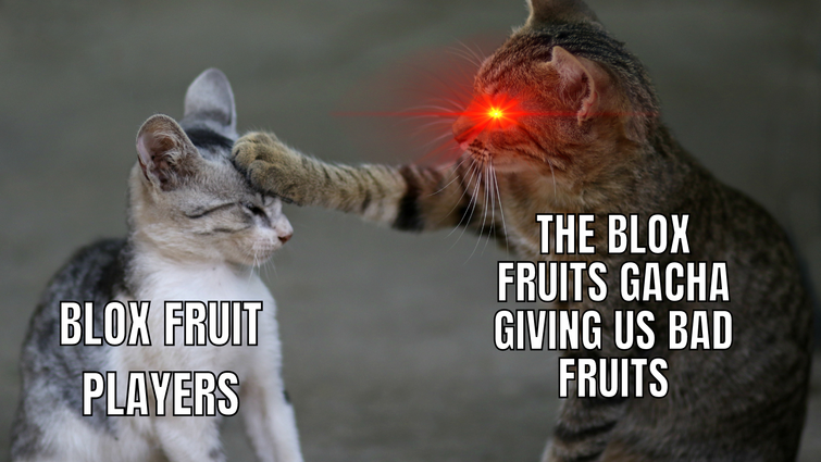 Blox Fruits but Meme