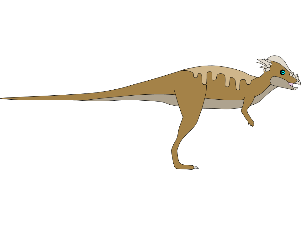 Pachycephalosaurus Spinifer | Fandom