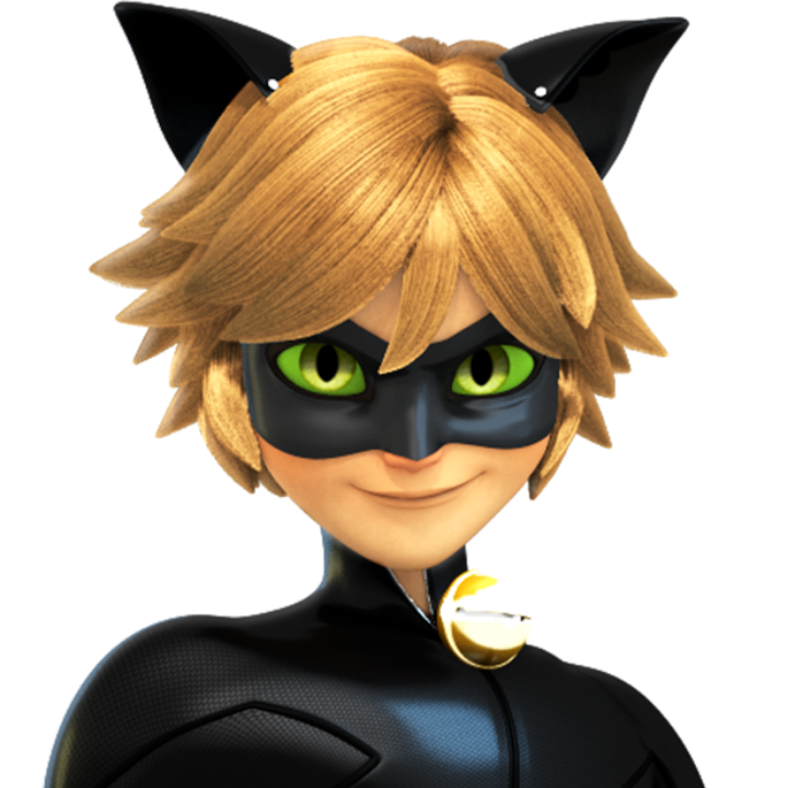 Cat noir 2.0's avatar.