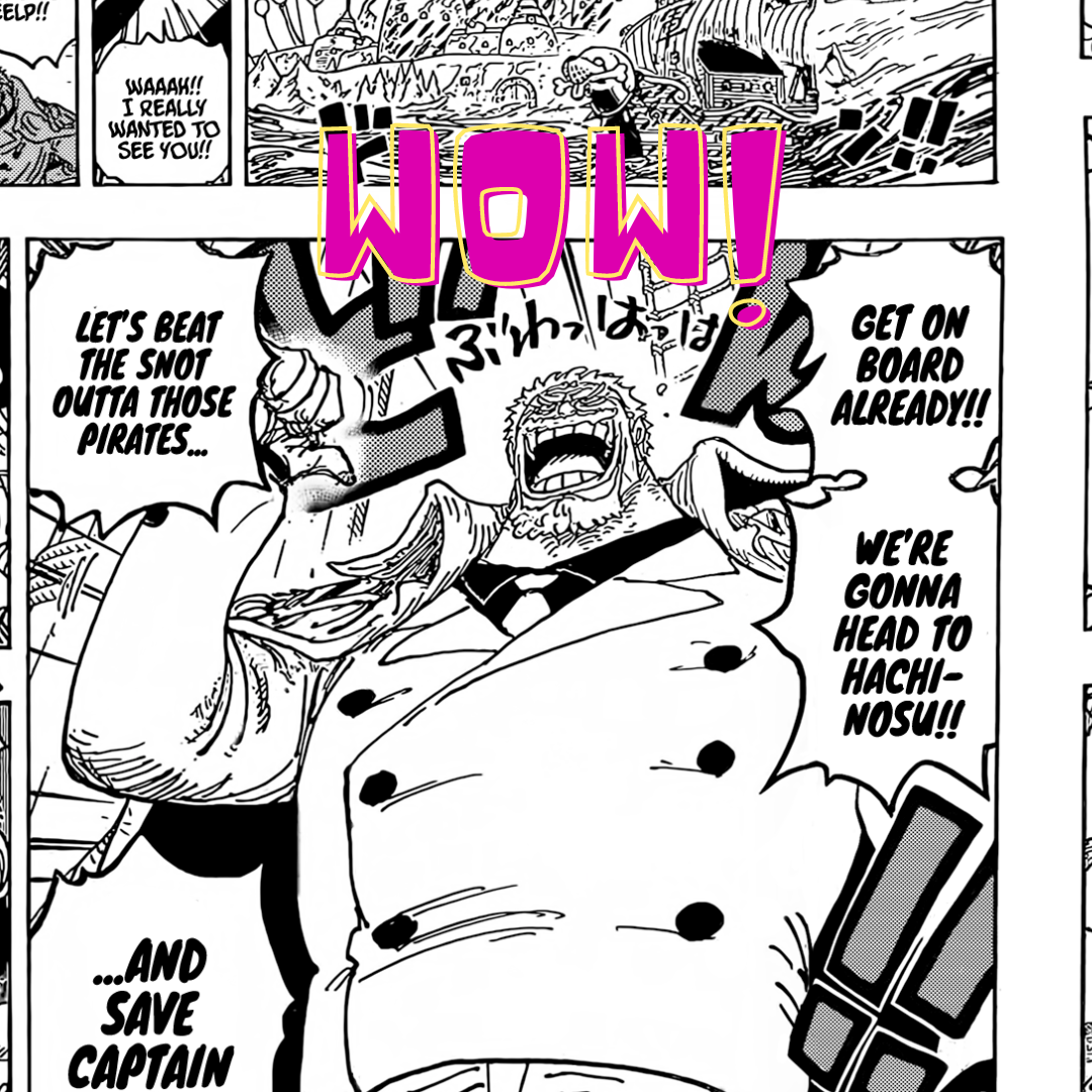 Garp Vs Blackbeard Who Will Win Fandom 