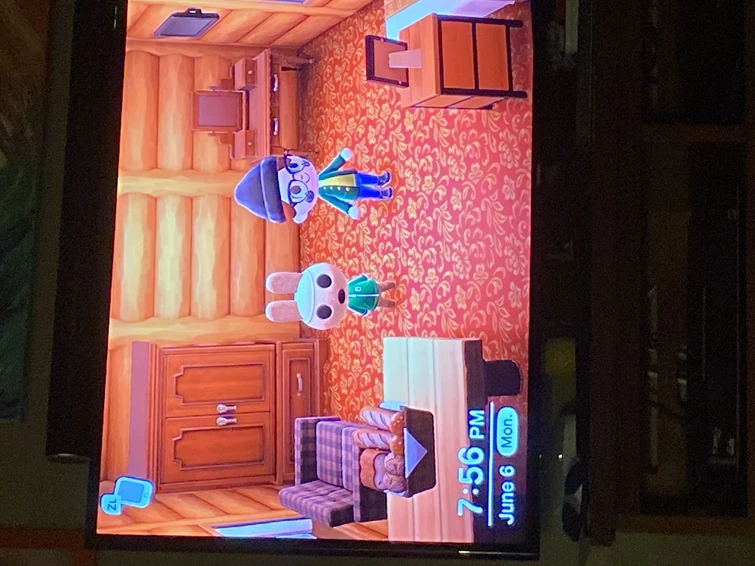 Look at Coco new house Fandom