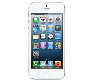 41by04w53xL. SX355 .jpg