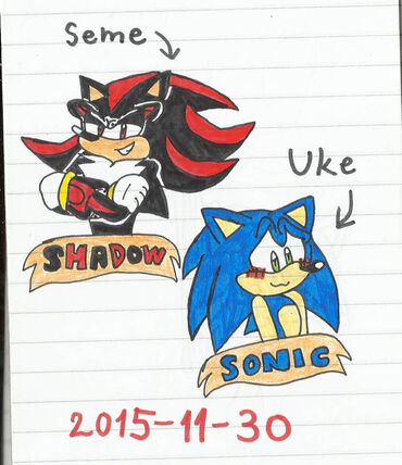 SONADOW (sonic seme X shadow uke)