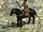 Cavalry Spearman