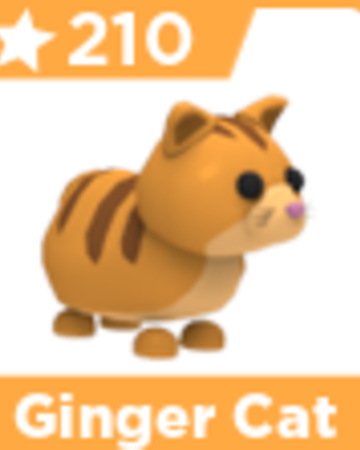 Trading Fly Ride Neon Shiba Inu And Ginger Cat Separate Tell Me Your Username And Offer Fandom - ginger roblox gfx