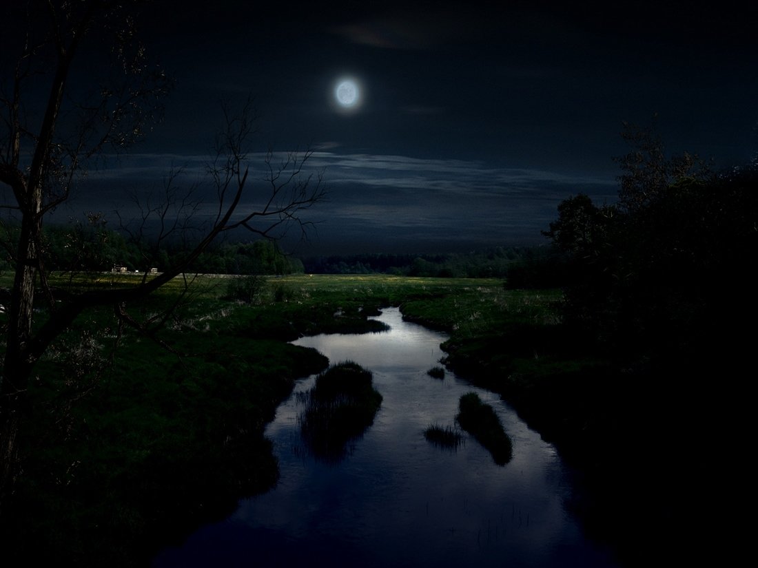 Луна у реки