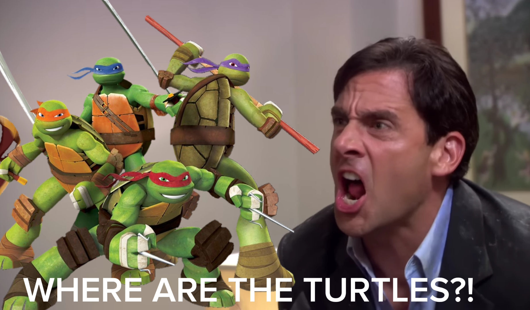 Basically shredder fandom