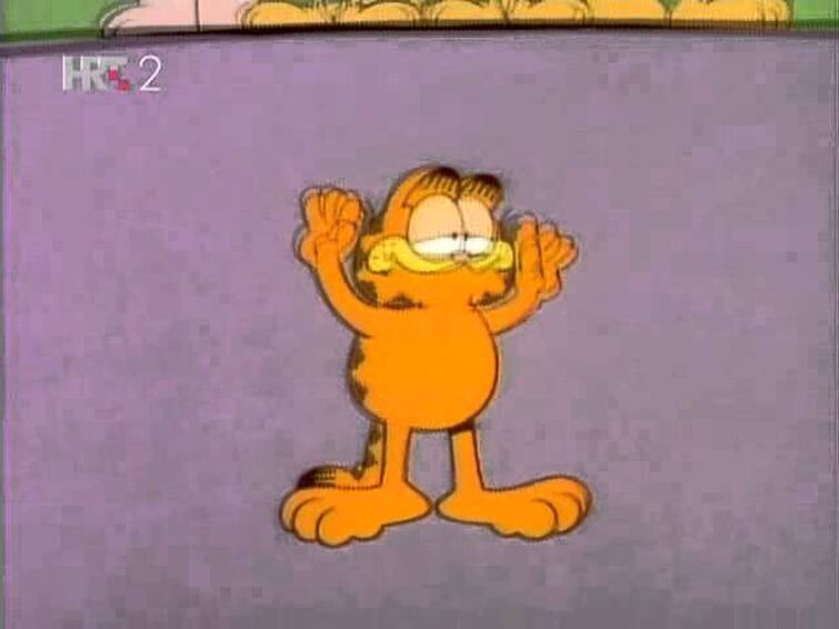 Garfield & Prijatelji - Intro |HR