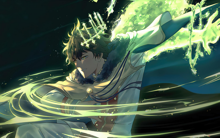 Fandom Image