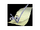 Clippy56