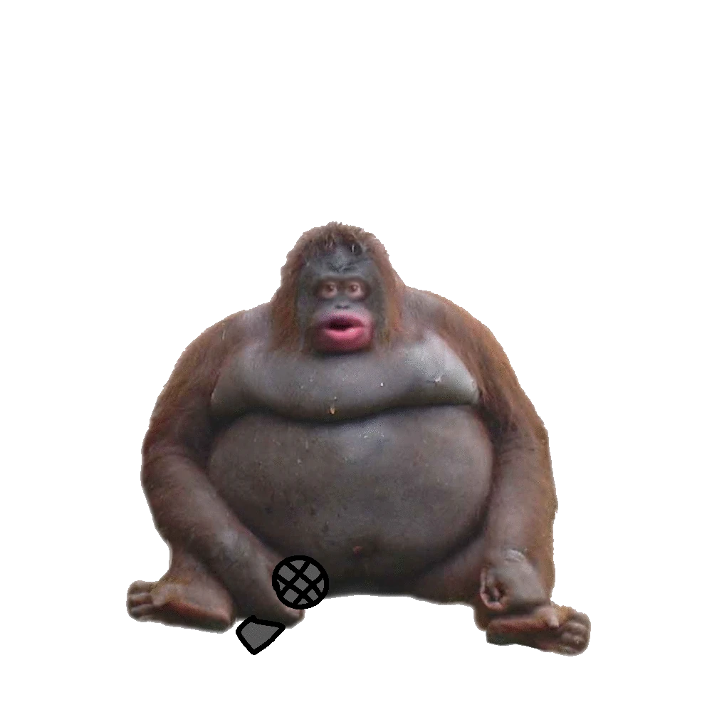 funky monke | Fandom