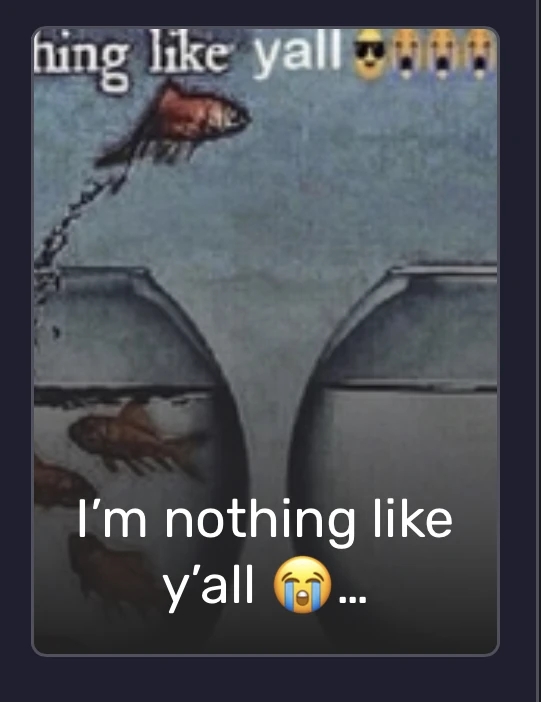 im nothing like y’all 😎😭😭😭 | Fandom