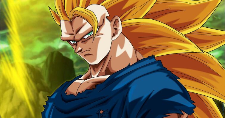 Dragon Ball Should Introduce Super Saiyan 3 Vegeta Into Canon