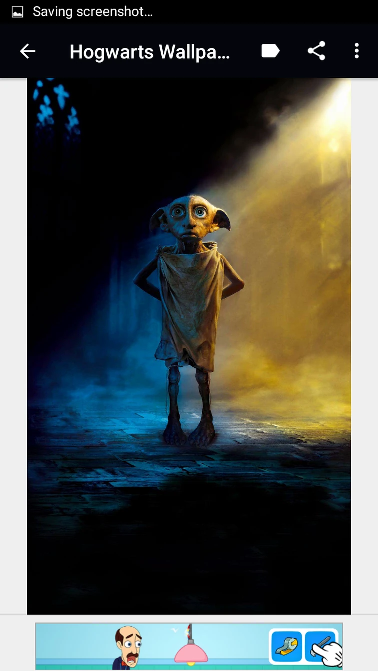 Dobby the free elf😍❤⚡