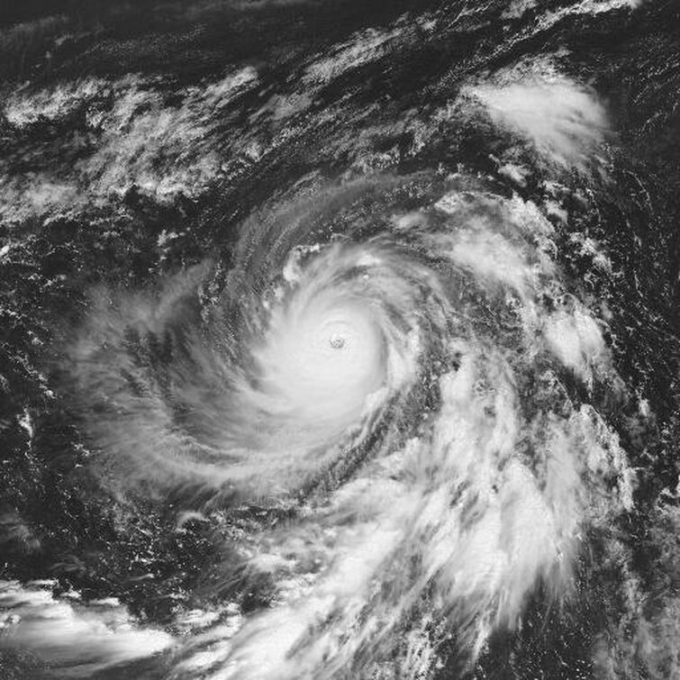 45 Million And 8 Years Blakes Huge Hurricanes Contract Explained - mggd71s
