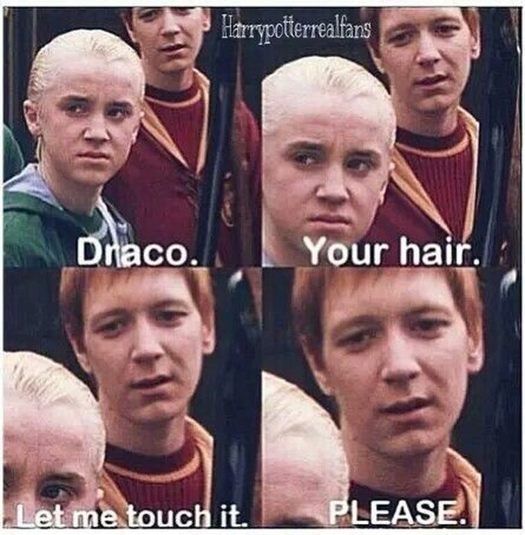 The best Draco Malfoy memes :) Memedroid